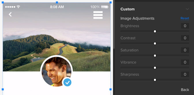 Image adjustments in the UXPin editor