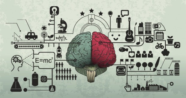 brain 620x326