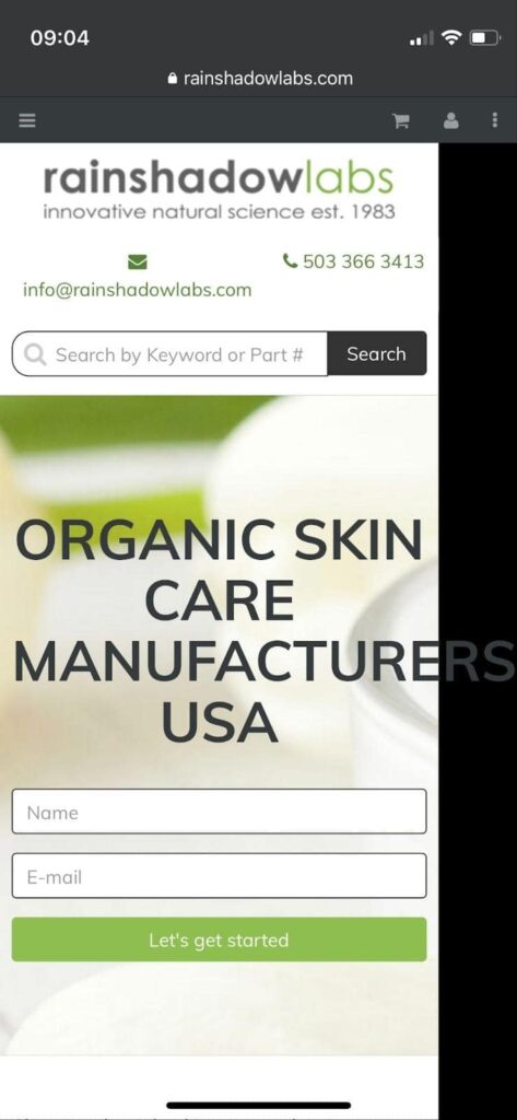 ウェブサイト SEO 例