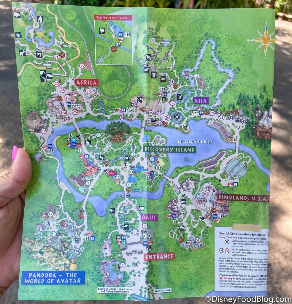 Disney World as an example of physical experience design
